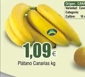FROIZ Plátano Canarias kg oferta