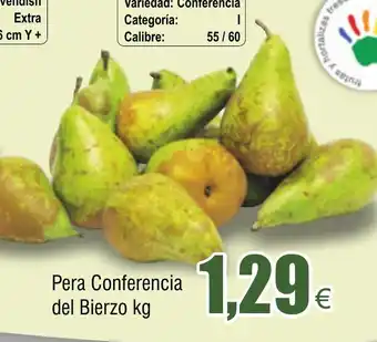 FROIZ Pera Conferencia del Bierzo kg oferta