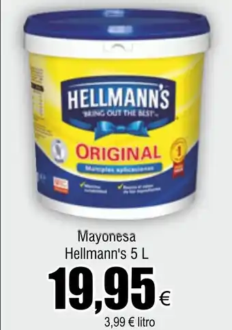 FROIZ Mayonesa Hellmann's 5 L oferta