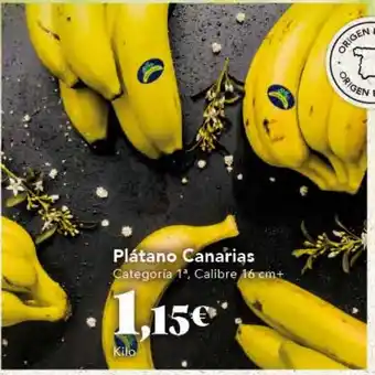 Gadis Plátano Canarias Categoría 1ª, Calibre 16 cm+ oferta