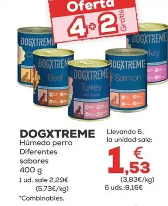 Kiwoko DOGXTREME Húmedo perro oferta