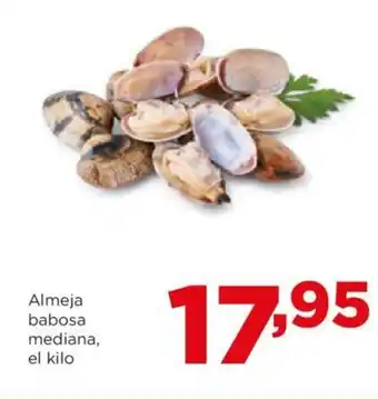 Alimerka Almeja babosa mediana, el kilo oferta