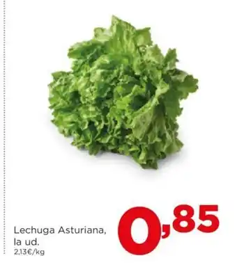 Alimerka Lechuga Asturiana oferta
