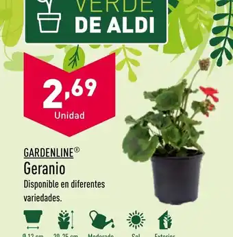 ALDI GARDENLINE® Geranio Disponible en diferentes variedades. oferta
