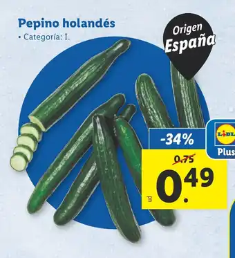 Lidl Pepino holandés oferta