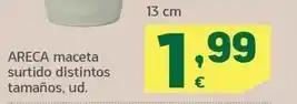 HiperDino Areca maceta surtido sitinos tamanos 13 cm oferta