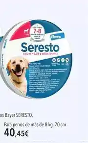 Carrefour Tex - deportivo oferta