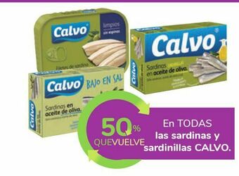 Carrefour En todas las sardinas y sardinillas calvo oferta