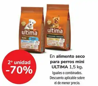 Carrefour En alimento seco para perro mini ultima oferta