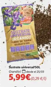 Lidl Grandiol - sustrato universal oferta