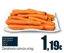 BricoCentro Malla antihierbas oferta