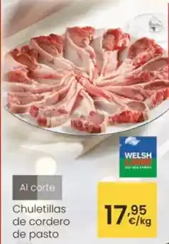 BricoCentro Armario escobero 2 puertas oferta