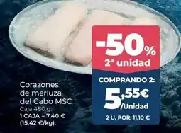 BricoCentro Paso - desatascador oferta