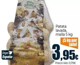 BricoCentro Cojin con relleno oferta