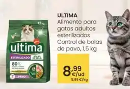BricoCentro Pintura en spray oferta