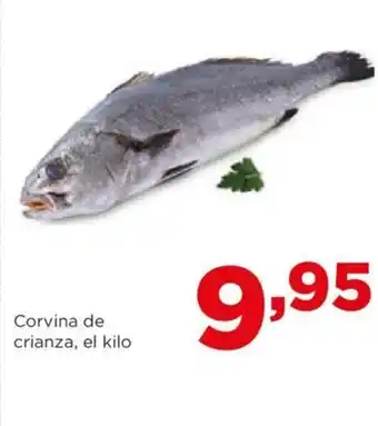 Alimerka Corvina de crianza, el kilo oferta