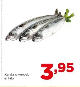 Alimerka Xarda o verdel, el kilo oferta