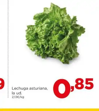 Alimerka Lechuga asturiana oferta