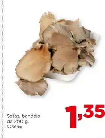 Alimerka Setas, bandeja de 200 g oferta