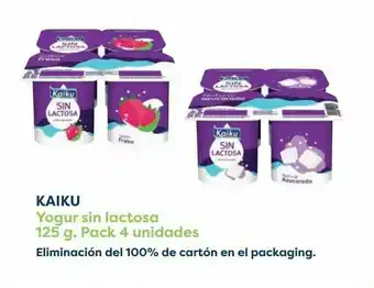 Carrefour Kaiku yogur sin lactosa oferta
