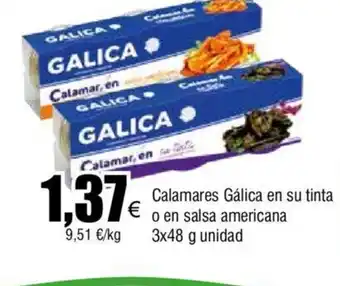 FROIZ Calamares Gálica en su tinta oferta