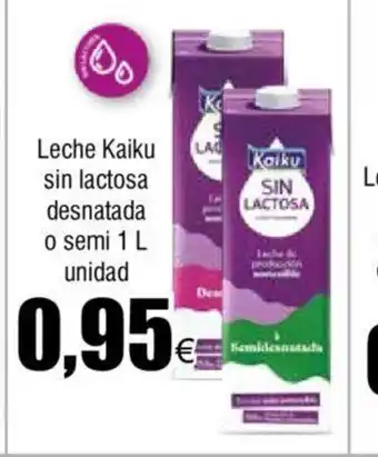 FROIZ Leche Leyma oferta