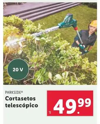 Lidl Cortasetos telescópico oferta