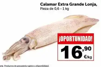 Masymas Calamar Extra Grande Lonja oferta