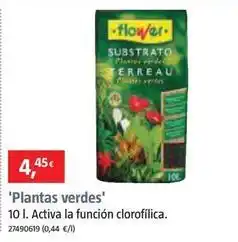 Bauhaus Plantas verdes oferta