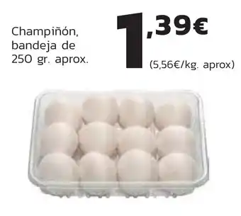 Supermercados Lupa Champiñón, bandeja de 250 gr. aprox. oferta