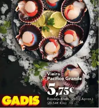 Gadis Vieira Pacífico Grande oferta