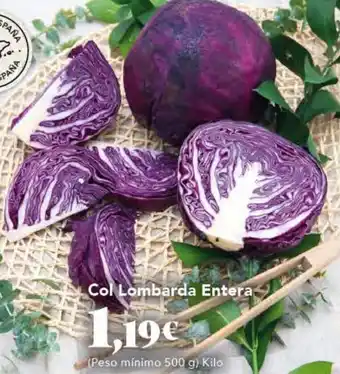 Gadis Col Lombarda Entera oferta