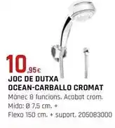 Lidl Kalanchoe oferta