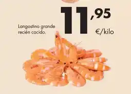 HiperDino Ybarra - aceite virgen extra oferta