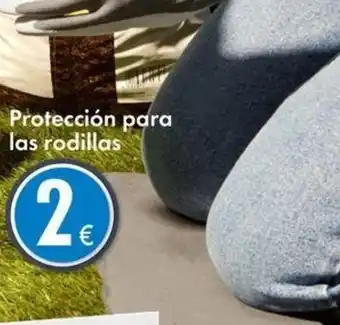 TEDi Protección para las rodillas oferta