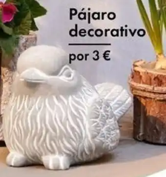 TEDi Pájaro decorativo oferta