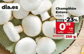 Dia Champinon entero oferta