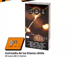 Dia Champinon entero oferta