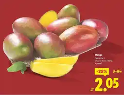 Kiwoko Nova clean - empapadores oferta