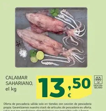 HiperDino Calamar sahariano oferta