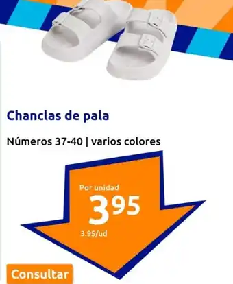 Action Chanclas de pala oferta