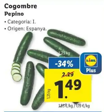 Lidl Cogombre Pepino oferta