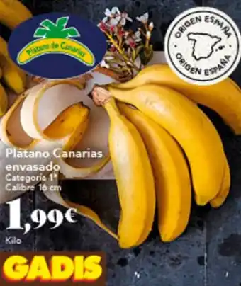 Gadis Plátano Canarias oferta