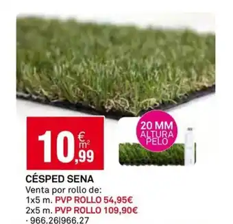 Bricoking CÉSPED SENA oferta