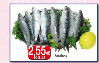 Congelados Copos Sardinas oferta