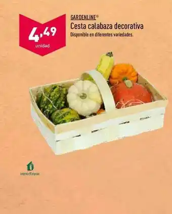 ALDI Gardenline Cesta Calabaza Decorativa oferta