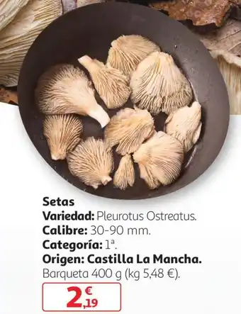 Setas