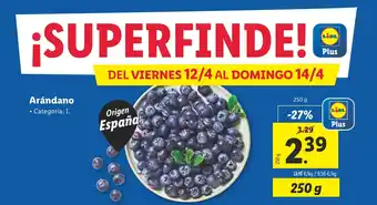 Lidl Arándano oferta