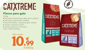 TiendAnimal Catxtreme - pienso para gato oferta