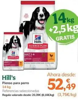 TiendAnimal Hill's - pienso para perro oferta